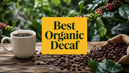 Best Organic Decaffeinated Coffee: A Practical Buyer's Guide