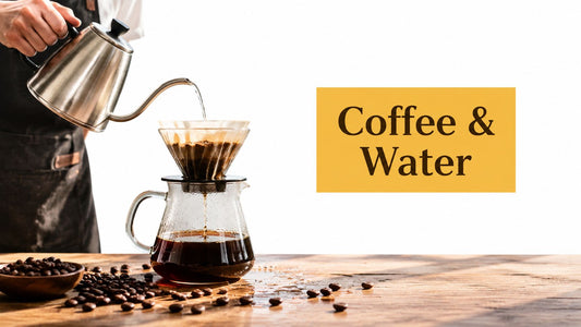Coffee and Water: A Practical Guide to Better Cups