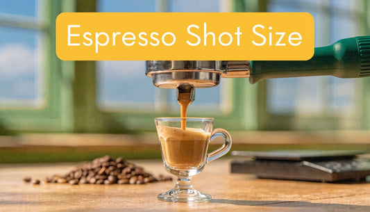 Espresso Shot Size: A Complete Guide from Solo to Lungo
