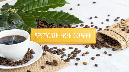 Finding the Best Pesticide Free Coffee Brands