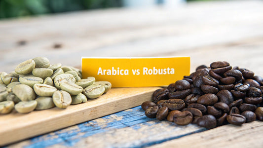 Arabica vs Robusta Beans A Coffee Drinker's Guide