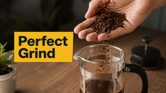The Perfect Grind for French Press: A Complete Guide