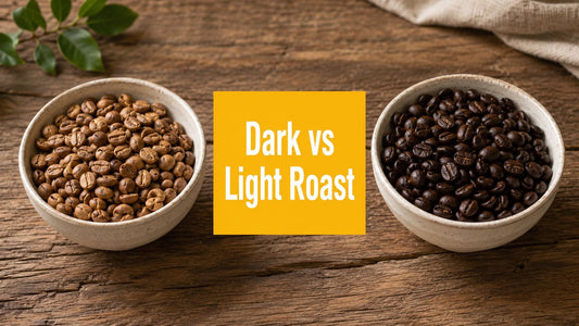 Dark vs Light Roast: Pick Your Perfect Coffee