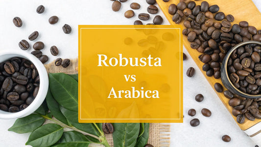 Robusta vs Arabica Coffee Beans A Complete Flavor and Caffeine Guide