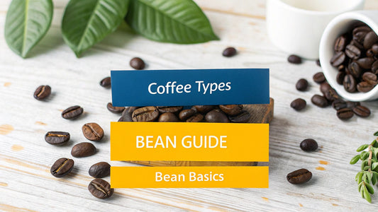 Your Guide to the Four Main Types of Coffee Beans