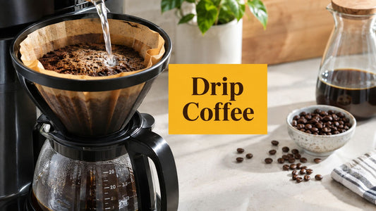 What Is Drip Coffee and How It Brews Flavor