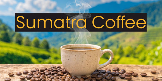 What Is Sumatra Coffee? An Earthy, Full-Bodied Guide