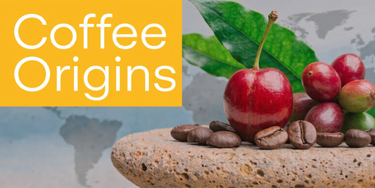 Where Does Coffee Come From? Global Journey Unveiled.